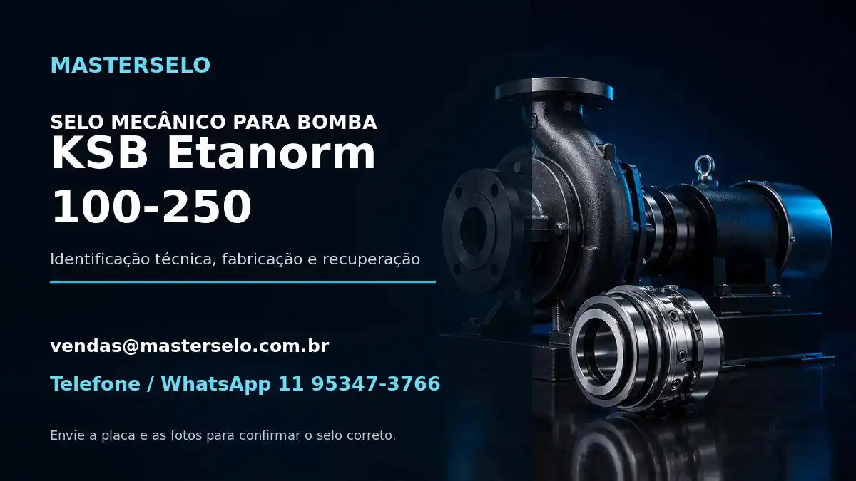 Imagem do modelo de bomba KSB Etanorm 100-250 usada na identificação do selo mecânico
