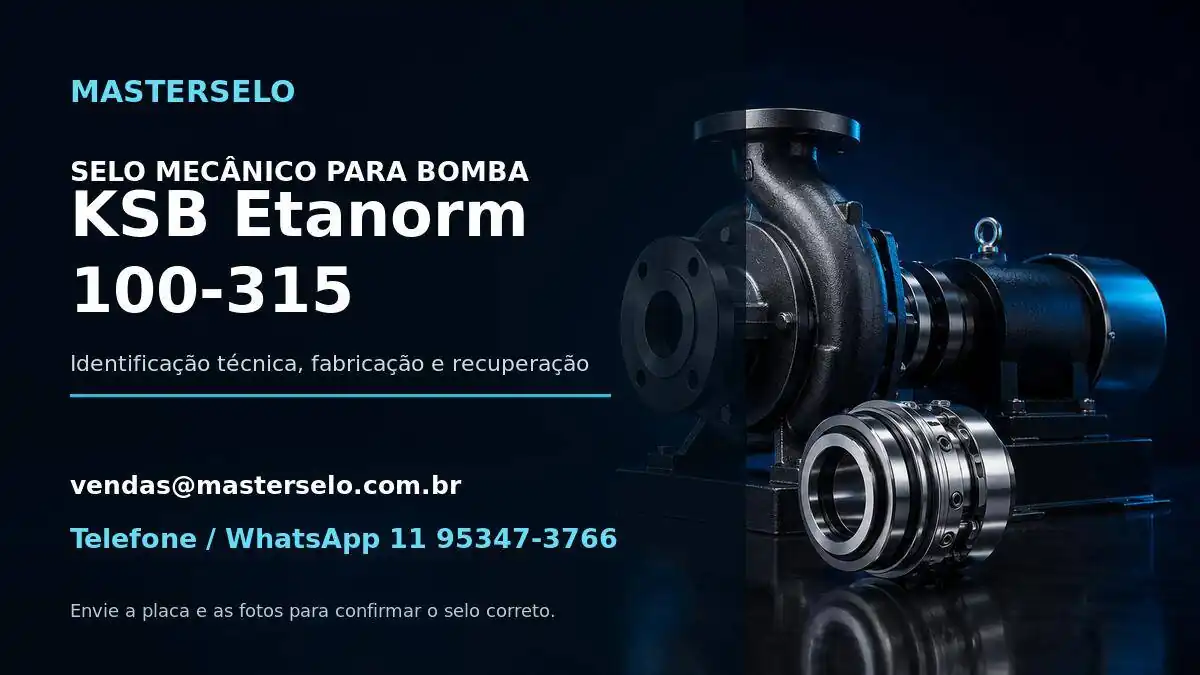 Imagem do modelo de bomba KSB Etanorm 100-315 usada na identificação do selo mecânico
