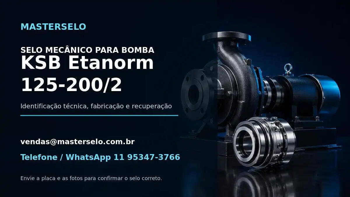 Imagem do modelo de bomba KSB Etanorm 125-200/2 usada na identificação do selo mecânico