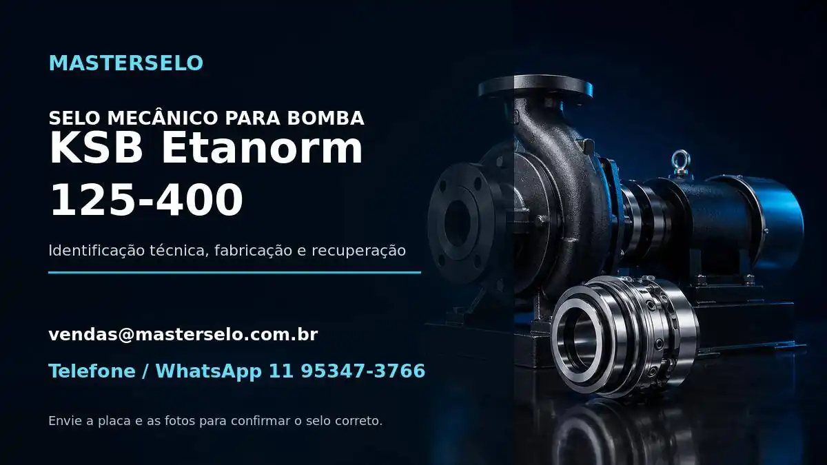 Imagem do modelo de bomba KSB Etanorm 125-400 usada na identificação do selo mecânico