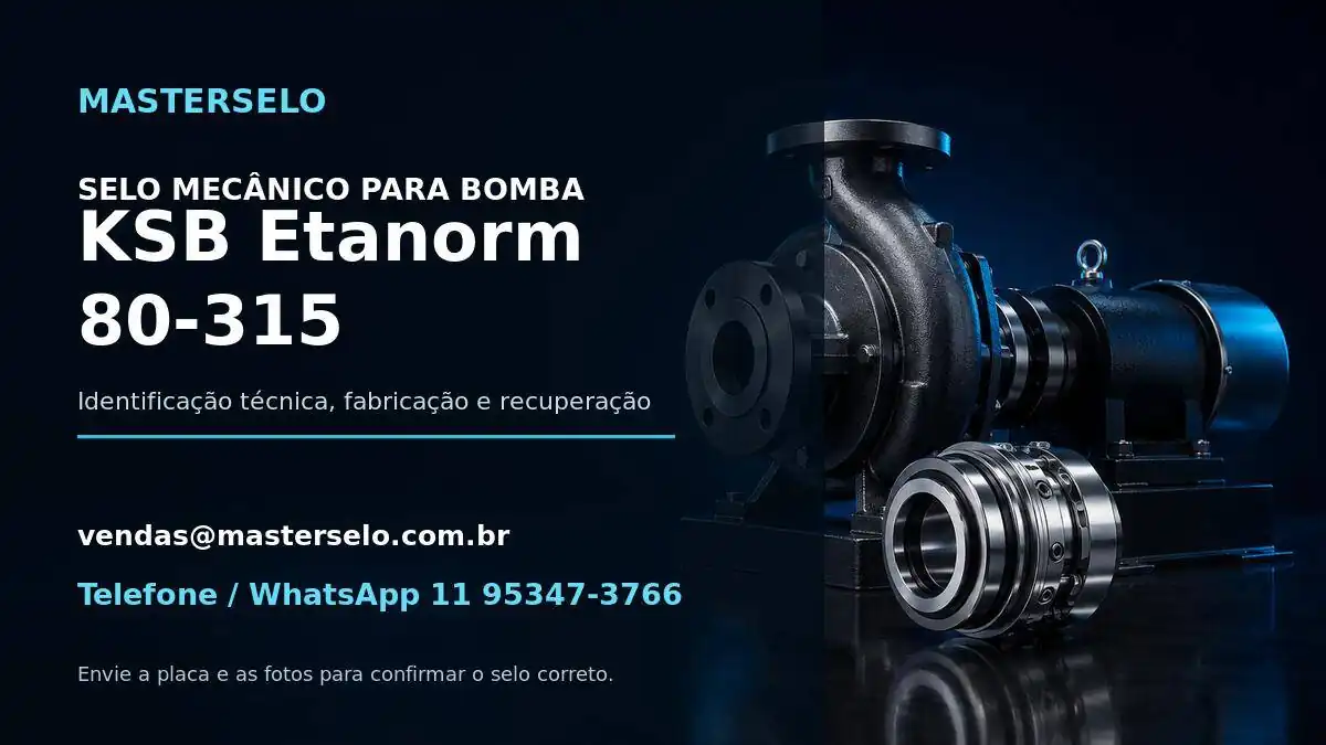 Imagem do modelo de bomba KSB Etanorm 80-315 usada na identificação do selo mecânico