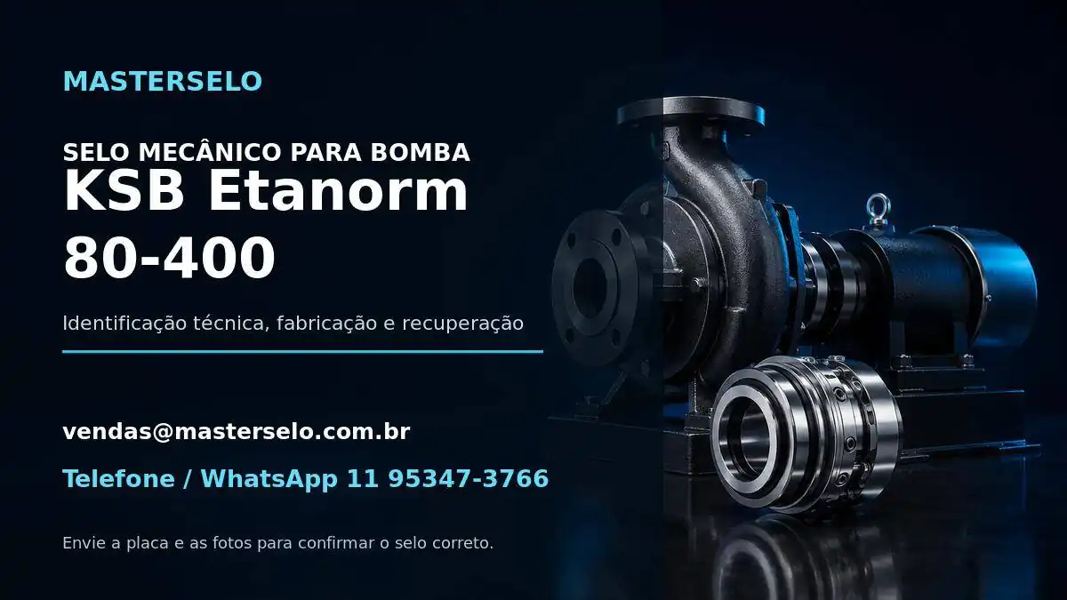 Imagem do modelo de bomba KSB Etanorm 80-400 usada na identificação do selo mecânico