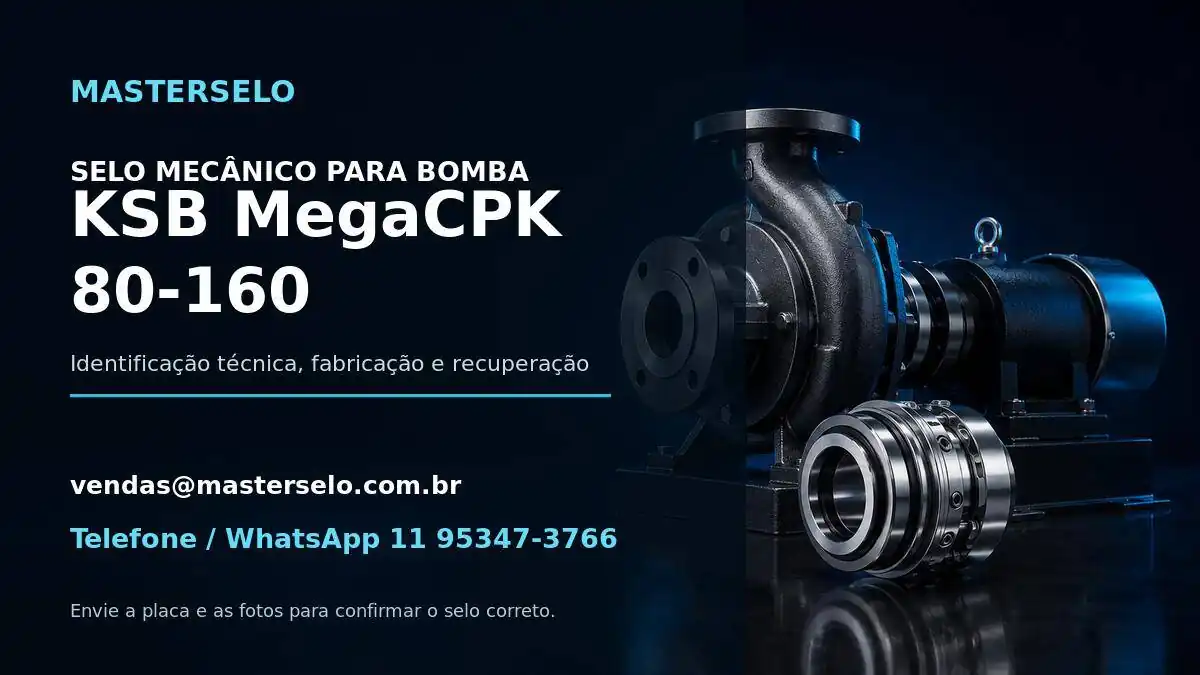 Imagem do modelo de bomba KSB MegaCPK 80-160 usada na identificação do selo mecânico